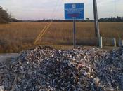 Recycling Takes Forms: Oyster Shells Charleston