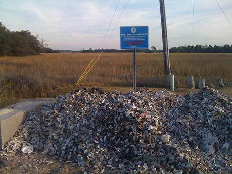 Recycling Takes All Forms: Oyster Shells in Charleston