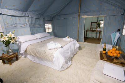 Gone Glamping