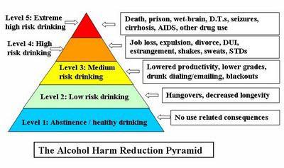 What Does Harm Reduction Mean?