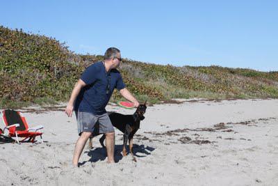 Yappy Hour on the Beach