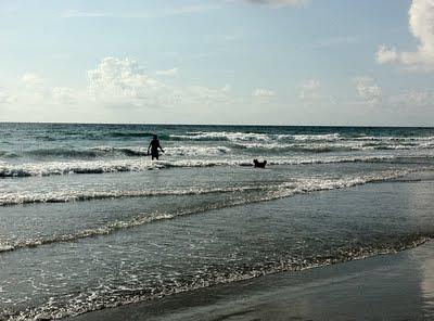 Yappy Hour on the Beach