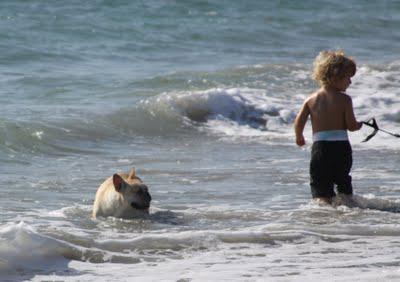 Yappy Hour on the Beach