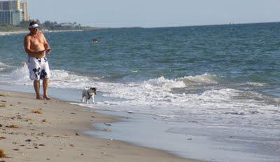 Yappy Hour on the Beach