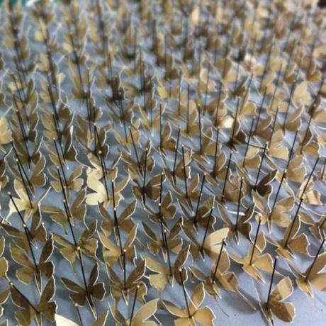 Butterflies, Recycling and Repetition