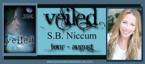 Veiled by S.B. Niccum