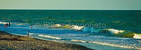 PHOTOGRAPHING A WALK ON THE BEACH IN FLORIDA!!