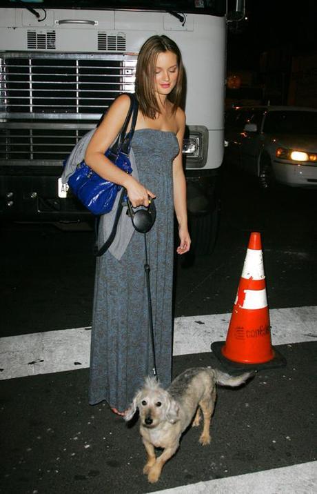 Celebrity Idol with their dogs