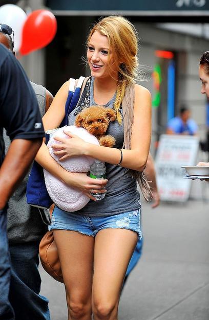 Celebrity Idol with their dogs