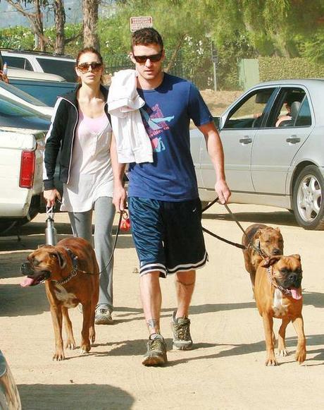 Celebrity Idol with their dogs