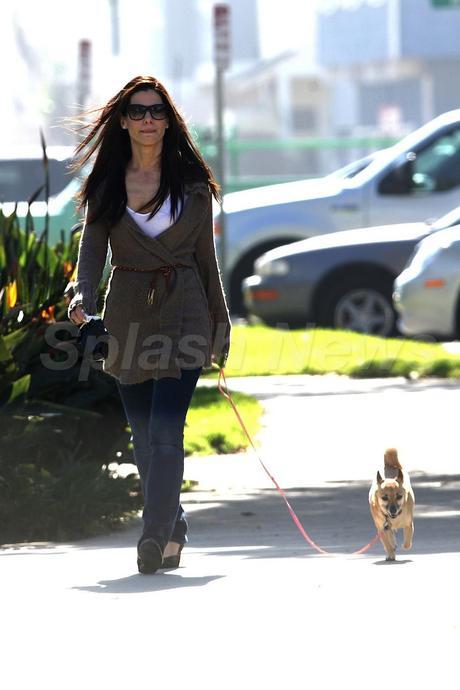 Celebrity Idol with their dogs