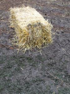 Bail of hay in the mud, Edinburgh Foodies Festival