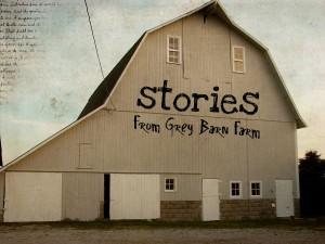 Indiana Blogs: Grey Barn Stories