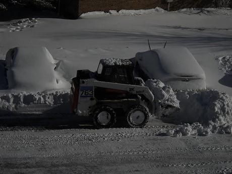 Et Tu Maryland?  Snow, hurricanes, and earthquakes. Wordful Wednesday.