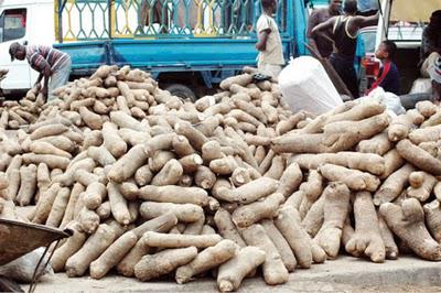 A Starchy Post - the mighty yam and others