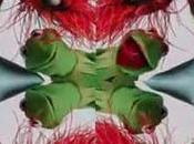 DanCool Tube: Muppets. Green Album Theme Song Video.