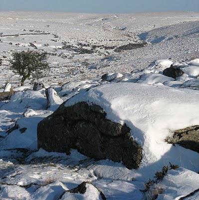 On the slopes of Down Tor