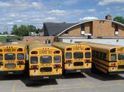 Seatbelts School Buses