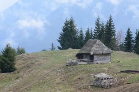 small hut in front of Carpathian Mountains