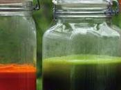 Fresh Juice: Inspiration Sauce with Farnoosh Brock