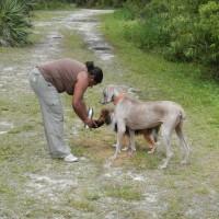 Dog Hydration is very important outdoors.