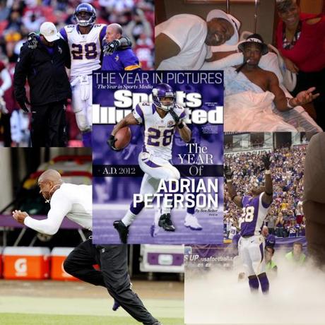 Adrian Peterson 2012-2013