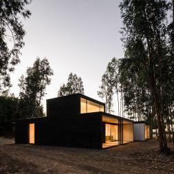 House 39 by Alex Plana