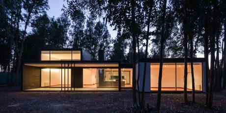 House 39 by Alex Plana  6