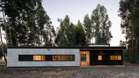 House 39 by Alex Plana