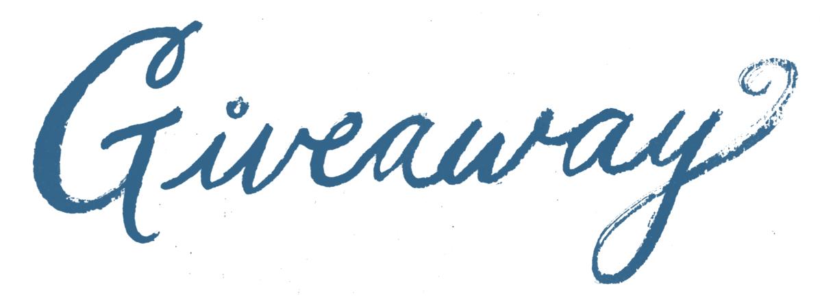 {Cover Reveal} No Reverse by Marion Croslydon