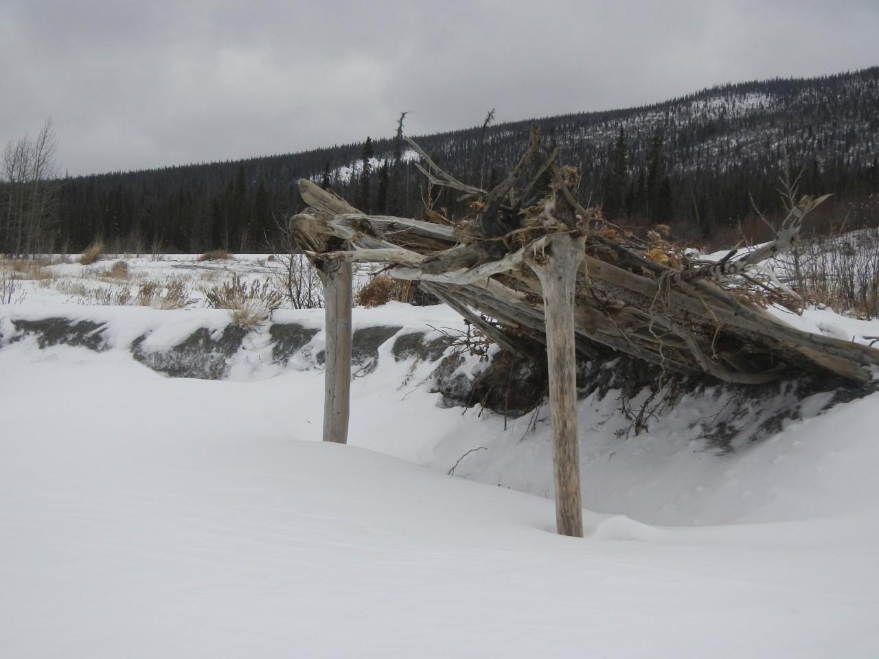 Shelter made of wood and sticks