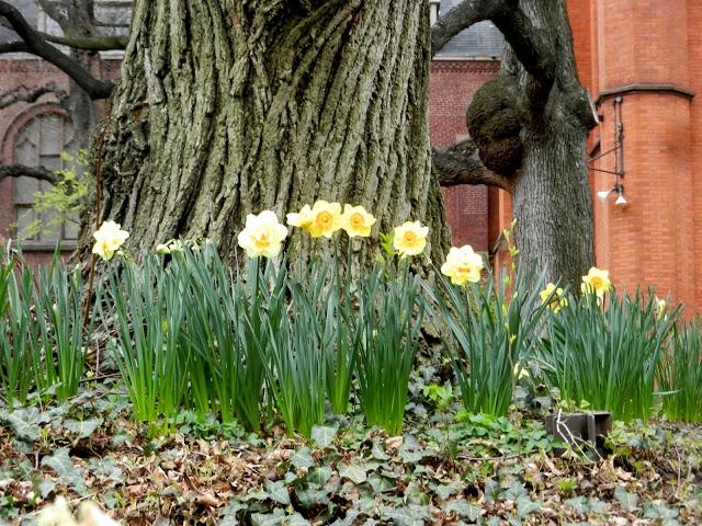 A Spring Bouquet