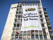 Greenpeace Scales Syngenta Bees