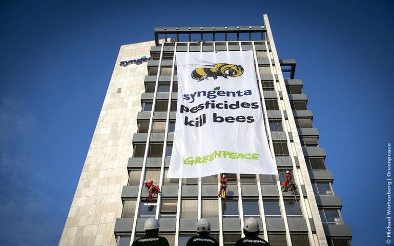 Greenpeace Scales Syngenta for the Bees