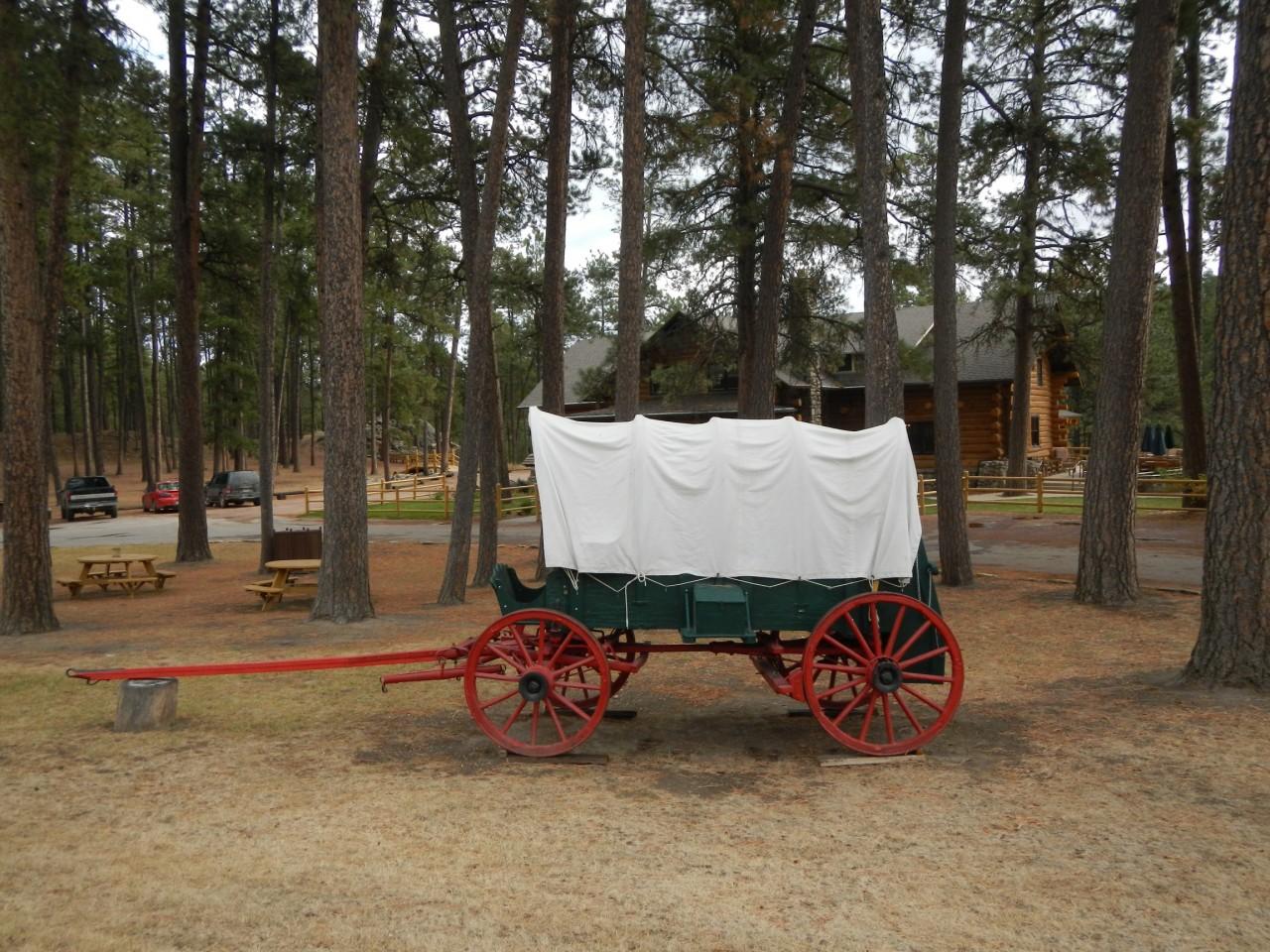 Covered Wagon in South Dakota