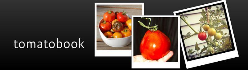 Tomatobook2013