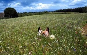 57 Flowers and a Field of Dreams