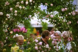 Cardiff Flower Show 2013