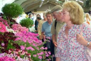 The Harrogate Flower Show 2013 – Not to be missed