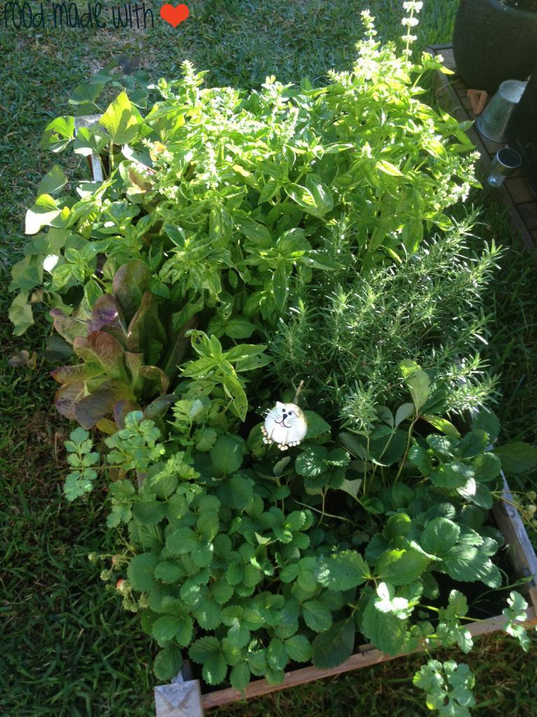 Herb garden bed