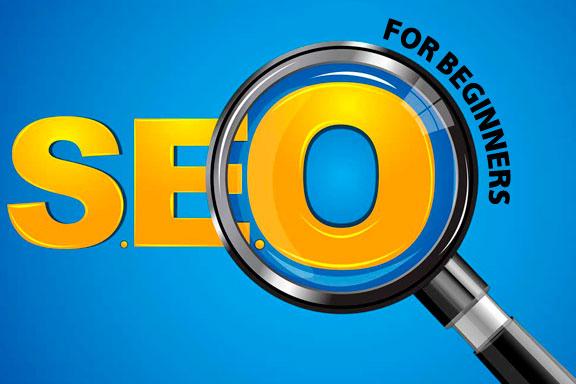 seo beginners