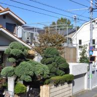 Steel House by Fuminori Nousaku Architects