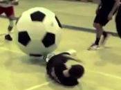 Epic Fails: Gets Ass-kicked Llama, Many More