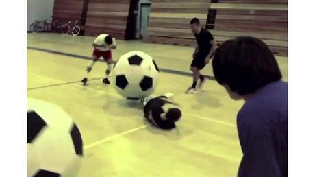 Epic Fails: Man Gets Ass-kicked by a Llama, and Many More epic-fails