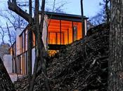 Camouflage House Jonshen Schmaling Architects