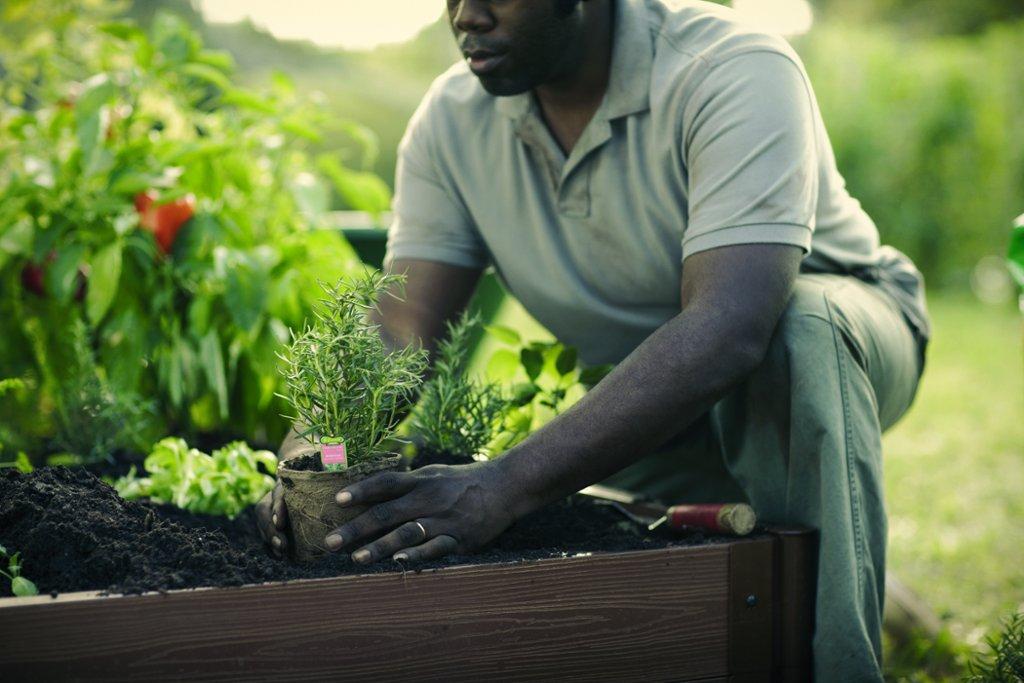 you don’t need a greenhouse to grow food