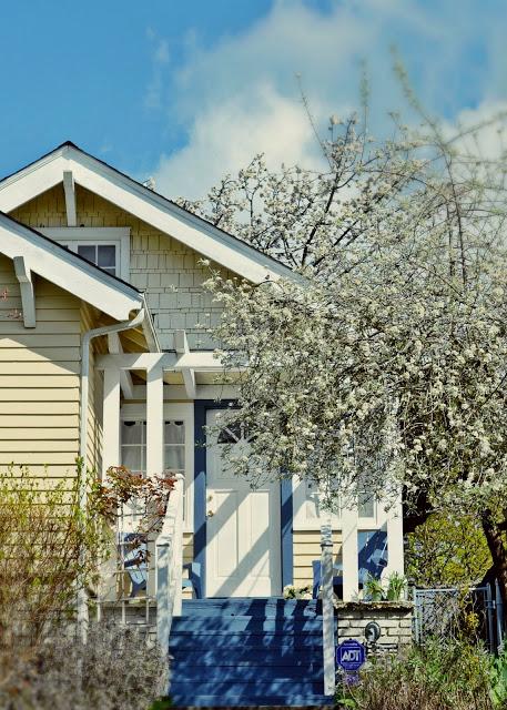 Greenwood, midcentury, spring, seattle, blossoms, flowering tree, cherry blossoms, flowers