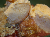 Rhubarb Strawberry Crumble…