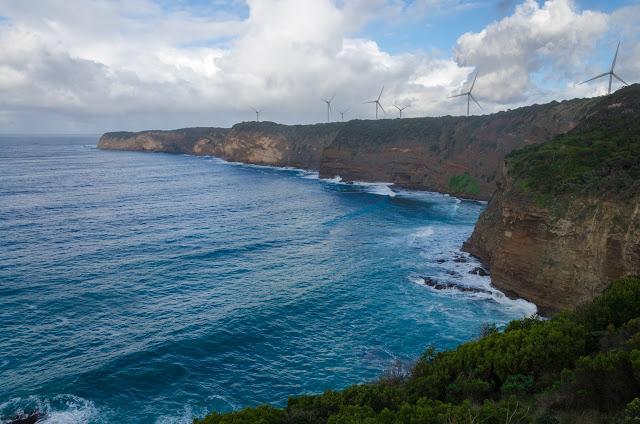 cape nelson state park peninsula with wind turbines