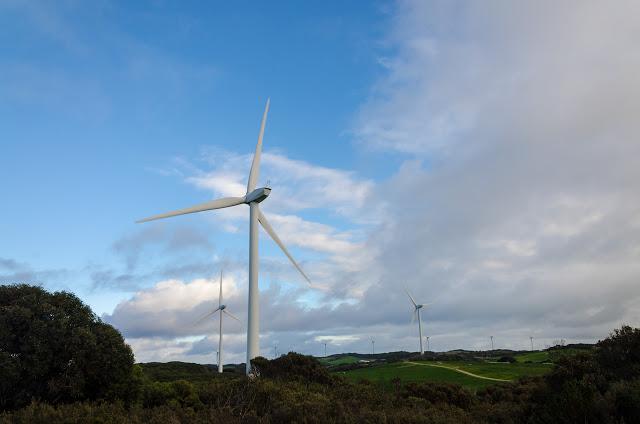 wind turbines at cape nelson